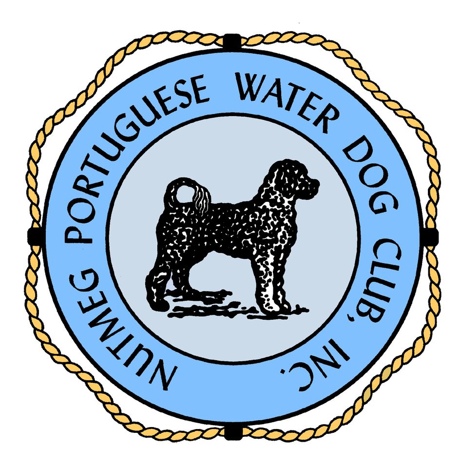 Nutmeg Portuguese Water Dog Club